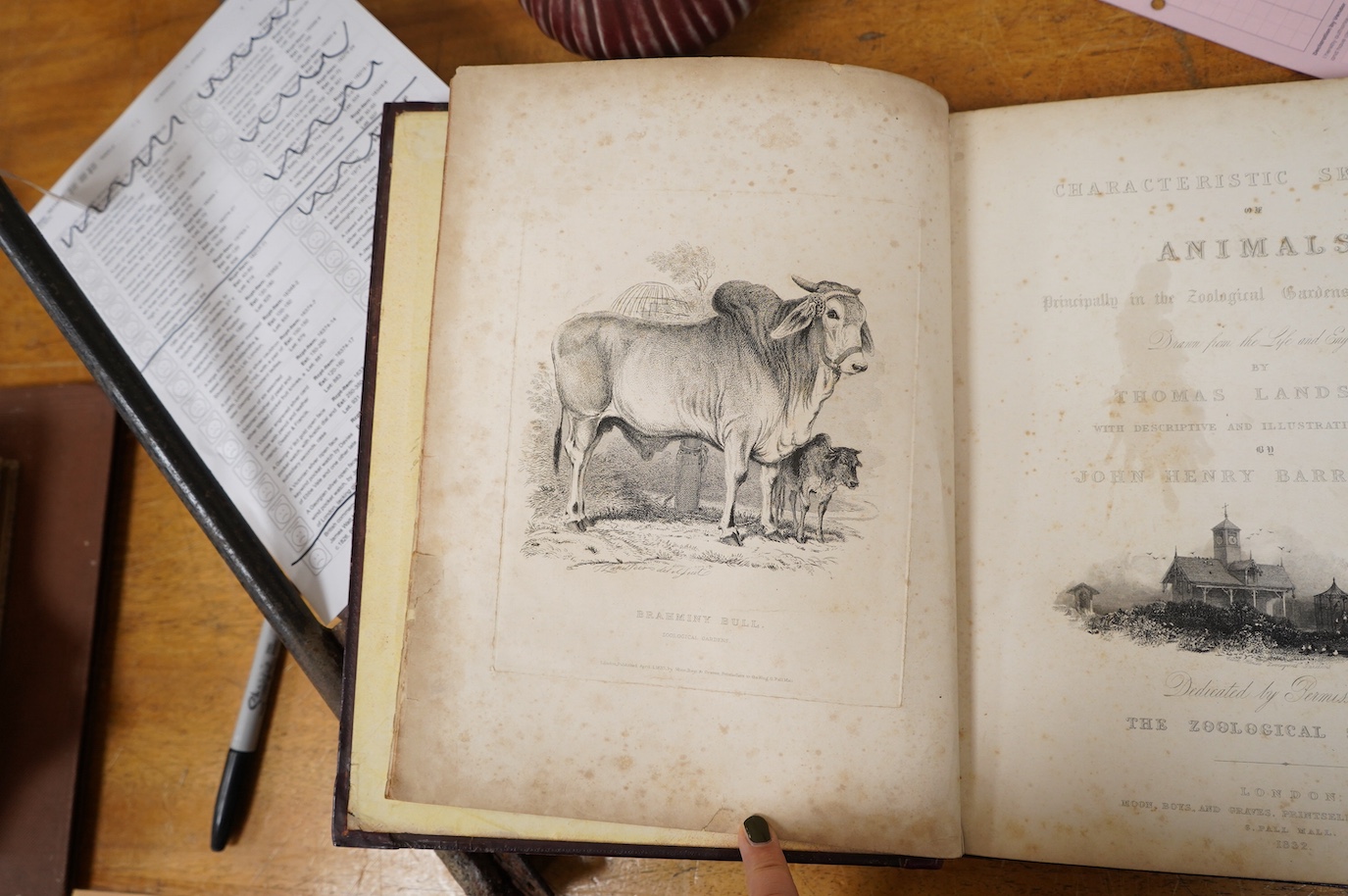 Landseer, Thomas - Characteristic Sketches of Animals, primarily for the Zoological Gardens, with Descriptive and Illustrative Notes by John Henry Barrow, published by Moon, Boys and Graves